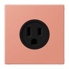 JUNG - Steckdose, US-Norm, 15 A 125 V ~, Schraubkl., ohne Krallen, l'ocre rouge moyen