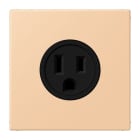 JUNG - Steckdose, US-Norm, 15 A 125 V ~, Schraubkl., ohne Krallen, terre sienne claire 31
