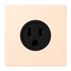 JUNG - Steckdose, US-Norm, 15 A 125 V ~, Schraubkl., ohne Krallen, terre sienne pâle