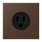 JUNG - Steckdose, US-Norm, 15 A 125 V ~, Schraubkl., ohne Krallen, terre d'ombre brûlée 31