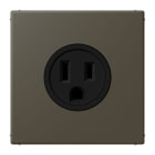 JUNG - Steckdose, US-Norm, 15 A 125 V ~, Schraubkl., ohne Krallen, ombre naturelle 31
