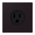 JUNG - Steckdose, US-Norm, 15 A 125 V ~, Schraubkl., ohne Krallen, noir d'ivoire