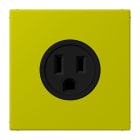 JUNG - Steckdose, US-Norm, 15 A 125 V ~, Schraubkl., ohne Krallen, vert olive vif