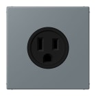 JUNG - Steckdose, US-Norm, 15 A 125 V ~, Schraubkl., ohne Krallen, Serie LS, gris 59