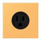 JUNG - Steckdose, US-Norm, 15 A 125 V ~, Schraubkl., ohne Krallen, ocre jaune clair