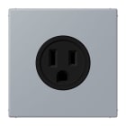 JUNG - Steckdose, US-Norm, 15 A 125 V ~, Schraubkl., ohne Krallen, gris clair 59