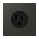 JUNG - Steckdose, US-Norm, 15 A 125 V ~, Schraubkl., ohne Krallen, ombre naturelle 59