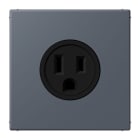 JUNG - Steckdose, US-Norm, 15 A 125 V ~, Schraubkl., ohne Krallen, gris fonce 59