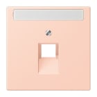 JUNG - Abdeckung für IAE/UAE Dosen 1 x 8-pol,Schriftfeld, l'ocre rouge clair