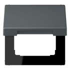 JUNG - Klappdeckel mit Rückstellfeder, Thermoplast lackiert, Serie LS, gris foncé 31