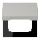 JUNG - Klappdeckel mit Rückstellfeder, Thermoplast lackiert, Serie LS, gris clair 31