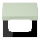 JUNG - Klappdeckel mit Rückstellfeder, Serie LS, vert anglâis pale