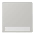 JUNG - Wippe 1fach, mit Schriftfeld, Serie LS, gris clair 31
