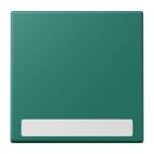 JUNG - Wippe 1fach, mit Schriftfeld, Serie LS, vert anglais