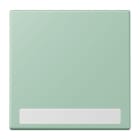 JUNG - Wippe 1fach, mit Schriftfeld, Serie LS, vert anglais clair
