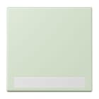 JUNG - Wippe 1fach, mit Schriftfeld, Serie LS, vert anglâis pale