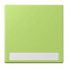 JUNG - Wippe 1fach, mit Schriftfeld, Serie LS, vert clair