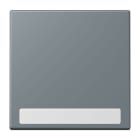 JUNG - Wippe 1fach, mit Schriftfeld, Serie LS, gris 59