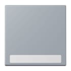 JUNG - Wippe 1fach, mit Schriftfeld, Serie LS, gris clair 59