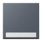 JUNG - Wippe 1fach, mit Schriftfeld, Serie LS, gris fonce 59