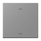 JUNG - Wippe 1fach, mit Pfeilsymbolen, Serie LS, gris 31