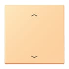 JUNG - Wippe 1fach, mit Pfeilsymbolen, Serie LS, terre sienne claire 59