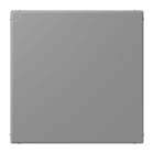 JUNG - Blind-Abdeckung (gerastet), Thermoplast lackiert, Serie LS, gris 31