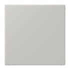 JUNG - Blind-Abdeckung (gerastet), Thermoplast lackiert, Serie LS, gris clair 31