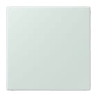 JUNG - Blind-Abdeckung (gerastet), Thermoplast lackiert, Serie LS, céruléen pale