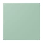 JUNG - Blind-Abdeckung (gerastet), Thermoplast lackiert, Serie LS, vert anglais clair