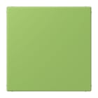 JUNG - Blind-Abdeckung (gerastet), Thermoplast lackiert, Serie LS, vert 31