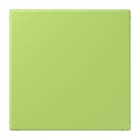 JUNG - Blind-Abdeckung (gerastet), Thermoplast lackiert, Serie LS, vert clair