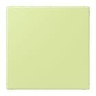 JUNG - Blind-Abdeckung (gerastet), Thermoplast lackiert, Serie LS, vert jaune clair
