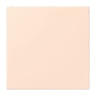JUNG - Blind-Abdeckung (gerastet), Thermoplast lackiert, Serie LS, orange pâle