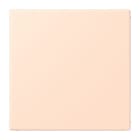 JUNG - Blind-Abdeckung (gerastet), Thermoplast lackiert, Serie LS, rose pâle