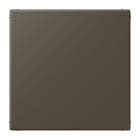 JUNG - Blind-Abdeckung (gerastet), Thermoplast lackiert, Serie LS, ombre naturelle 31