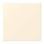 JUNG - Blind-Abdeckung (gerastet), Thermoplast lackiert, Serie LS, blanc ivoire