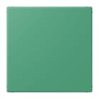 JUNG - Blind-Abdeckung (gerastet), Thermoplast lackiert, Serie LS, vert 59