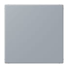 JUNG - Blind-Abdeckung (gerastet), Thermoplast lackiert, Serie LS, gris clair 59