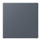 JUNG - Blind-Abdeckung (gerastet), Thermoplast lackiert, Serie LS, gris fonce 59
