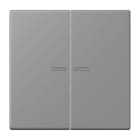 JUNG - Wippe 2fach mit Lichtleiter, Serie LS, gris 31