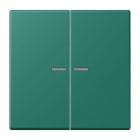 JUNG - Wippe 2fach mit Lichtleiter, Serie LS, vert anglais
