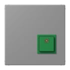 JUNG - Notrufsystem Abstelltaster, Serie LS, gris 31