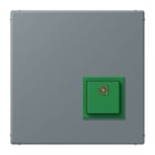 JUNG - Notrufsystem Abstelltaster, Serie LS, gris 59