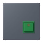 JUNG - Notrufsystem Abstelltaster, Serie LS, gris fonce 59