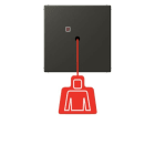 JUNG - Notrufsystem Zugtaster, Serie LS, ombre naturelle 59