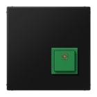 JUNG - Notrufsystem Abstelltaster, Serie LS, graphitschwarz matt