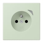 JUNG - JUNG HOME Steckdose Energy, franz/belg., 16A 250V~, SAFETY+, Serie LS, vert anglais pâle (32042)