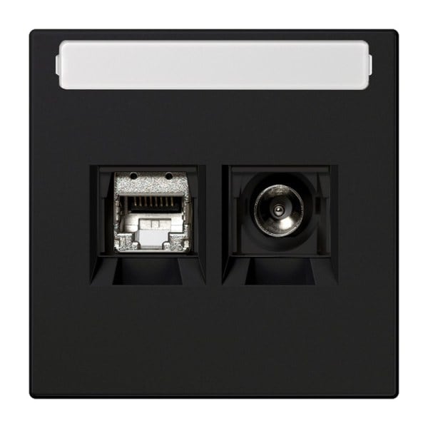 JUNG - Smart-TV-Anschlussdose 2fach, Schriftfeld, Thermoplast, Serie LS, graphitschwarz matt