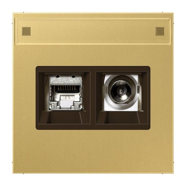 JUNG - Smart-TV-Anschlussdose 2fach, Schriftfeld, Messing, Serie LS, Messing classic